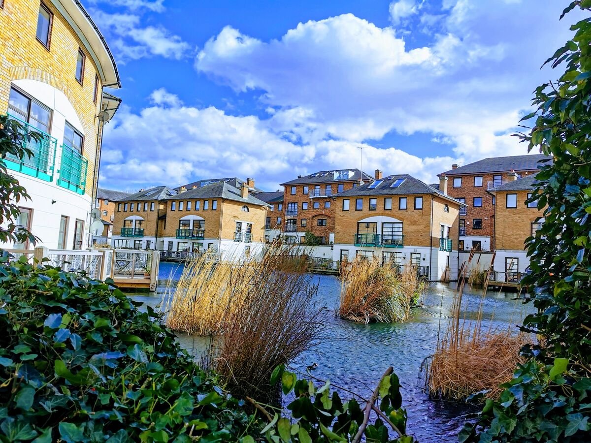 Riverside 1BR - the area